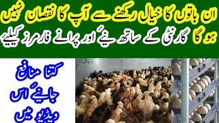 Some tips for poultry farmers that makes them  more profitable || By Dr.saad