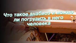 Что такое анабиоз и можно ли погрузить в него человека