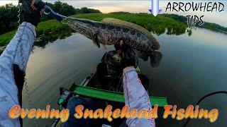 Arrowhead & Snakehead Fishing Tips: The Tide, Lures, and Evening Fishing on the Chesapeake