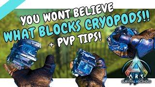 Block Cryos, Foundation Range, Turret Settings and More Ark Ascended PVP Tips