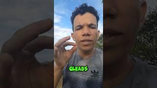 Extrator de contatos do Google e Google Maps (Gleads)