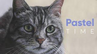 Cats in Soft Pastel - Timelapse