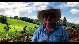 Planting Australia’s Largest Miyawaki Forest with Brettacorp, funded by Carbon Positive Australia