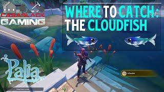 When, Where & How to Catch the Cloudfish in Palia | 1 Min Guide