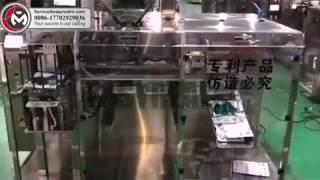 Pouch Packing Machine | Premade Bag Packaging Machine | Doypack Pouch Filling Machines Manufacturers