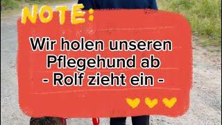 Wir holen unseren Pflegehund ab - Rolf zieht ein - 