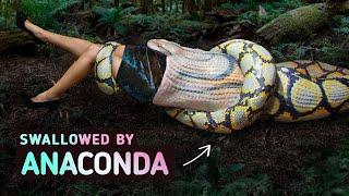 Being Swallowed by an Anaconda