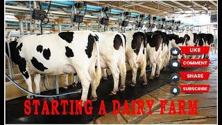 HOW TO START A DAIRY FARM(MUST WATCH!!!)