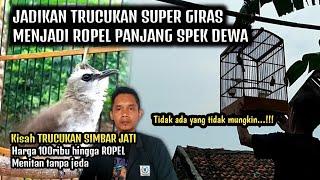 Inilah Settingan TRUCUKAN SIMBAR JATI dari ropel pendek manjadi ropel panjang