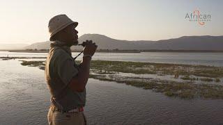 Your Guide Through The Heart Of Africa - African Bush Camps