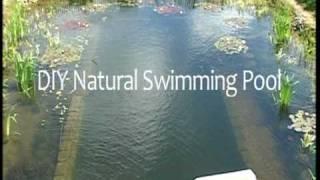 DIY Natural Swimming Pools