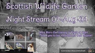 Night Stream August 7th 2024 | Bird Feeders, Wildlife Cameras Scotland UK from SWG