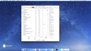 Mac für Einsteiger - Die Aktivitätsanzeige, der Task Manager für Mac OS X