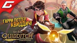 ГАРРИ ПОТТЕР: КВИДДИЧ!  Harry Potter: Quidditch Champions