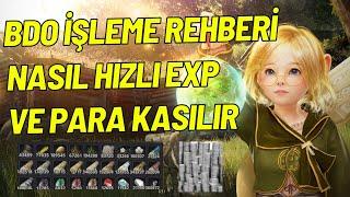 BDO İŞLEME REHBERİ NASIL HIZLI EXP VE PARA KASILIR TÜM TAKTİKLERİYLE  #1