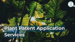 Plant Patent Services