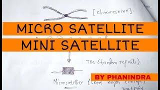 MICROSATELLITES AND MINISATELLITES || BIOTECHNOLOGY || BY PHANINDRA GUPTA