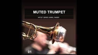 Image Sounds - Muted Trumpet 1