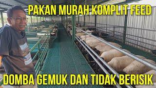 PAKAN DOMBA KOMPLIT FEED MURAH YANG BAGUS UNTUK BREEDING DOMBA | PETERNAKAN DOMBA AYANA FARM