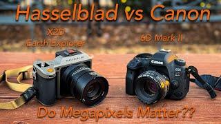 Do Megapixels Matter? Hasselblad X2D vs Canon 6D Mark 2