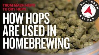 How Hops Are Used in Homebrewing