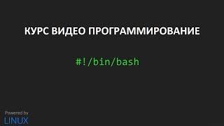 Создание скриптов bash урок #1