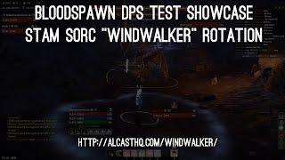 Stam Sorc WINDWALKER Rotation - Bloodspawn showcase - Elder Scrolls Online ESO