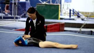 Sitting & Bridge Stretches for Beginner Gymnastics : Gymnastics