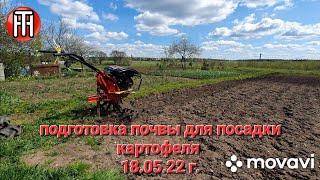 Подготовка почвы, под посадку картофеля.(фрезерование мотоблоком)