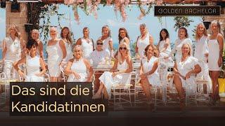 Diese DAMEN kämpfen um Franz’ HERZ  | Golden Bachelor