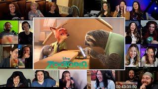 Zootopia: Meet the Sloth  |  Zootopia (2016)  Reaction Mashup