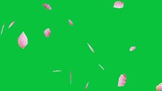 rose petals falling green screen | petals green screen effects | flower effect green screen