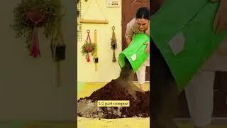 Soil mix recipe for monsoon vegetables and houseplants
