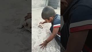  Unique Cute baby *too small 2023 #youtubeshort #shortfeed #viral #tejalvlog