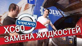 VOLVO XC60 – замена масла в АКПП, муфте Халдекса, заднем и угловом редукторах Vollux