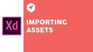 Adobe XD Tutorial 26 Importing Assets