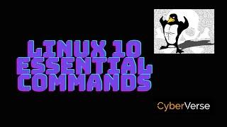 Master the Linux Command Line with These 10 Essential Commands