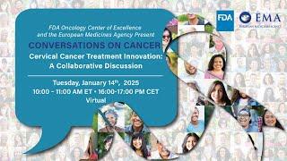 Cervical Cancer Treatment Innovation: A Collaborative Discussion