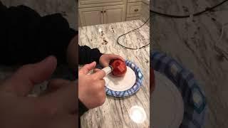 Tomato Surgery