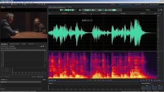 Adobe Audition: Sound post-production for Film & Documentary