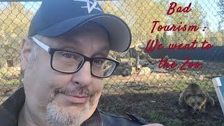 Bad Tourism : We Went To The Zoo