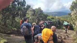 |Conquering Kilimanjaro: Day 2 Adventure||Tanzania national parks |Safari |Tanzania heritage|