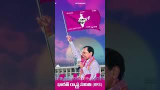 #brs #brsparty #brs #flag #telangana #trs #viral