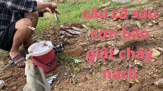 câu cá sau cơn bão cá ăn giật cháy nách #fishing