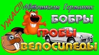 Топ приколы 2017 Бобры убийцы.