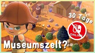 Tag 23 - Ich gestalte eine Insel ohne Nintendo Switch Online in 30 Tagen