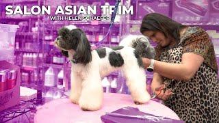 Salon Asian Fusion Trim - Helen Schaefer