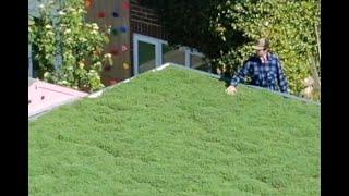 How to install a living roof / green roof.      Product from www.greenroofsdirect.com