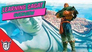 Learning Sagat - Buttons, Combos, Meaties, Frame traps, Vtrigger