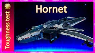 3.17.1 Toughness test Hornet - Shield hole galore